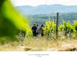 Domaine Ollier Taillefer