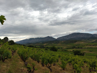 Domaine de Sabbat