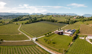 Barolo Offers