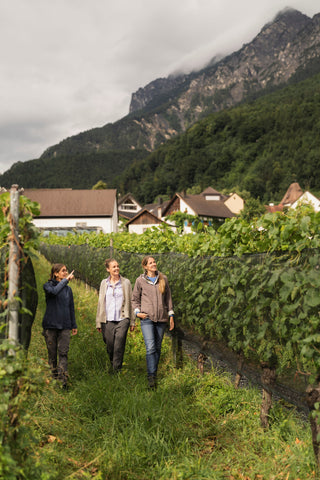 Liechtenstein Winery