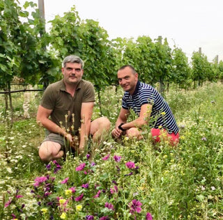 Weingut Muenzenrieder