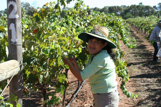 Domaine Asmara