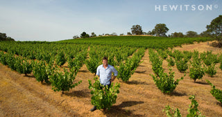Hewitson