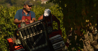 Bordeaux Offers