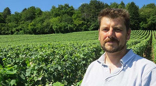 Champagne Michel Hoerter