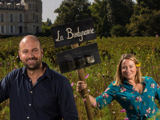 Chateau Haut Bergey