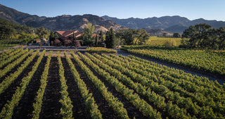 Bennett Lane Winery