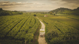 Brunello Offers