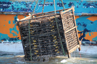 Vinamaris Tinto 2016