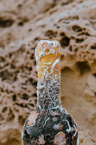 Vinamaris Blanco 2023