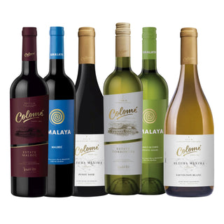 Argentinien-Entdeckungsbox