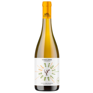 El Ventilador Blanco 2024 1+1