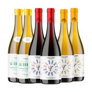 Vinos Lopez Discovery Box (1+1 Angebot)