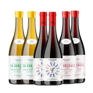 Vinos Lopez Discovery Box (1+1-erbjudande)